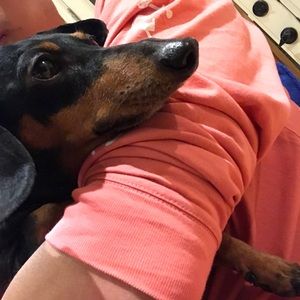 Meet your Posher, Sean